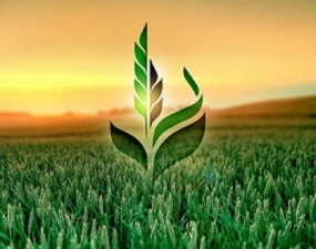 Логотип (бренд, торговая марка) компании: ПАО "Сельскохозяйственная Экспортная Корпорация" в вакансии на должность: Главный бухгалтер в городе (регионе): Краснодар